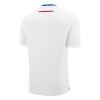 Maillot de Supporter Slovaquie Extérieur 2024-25 Pour Homme